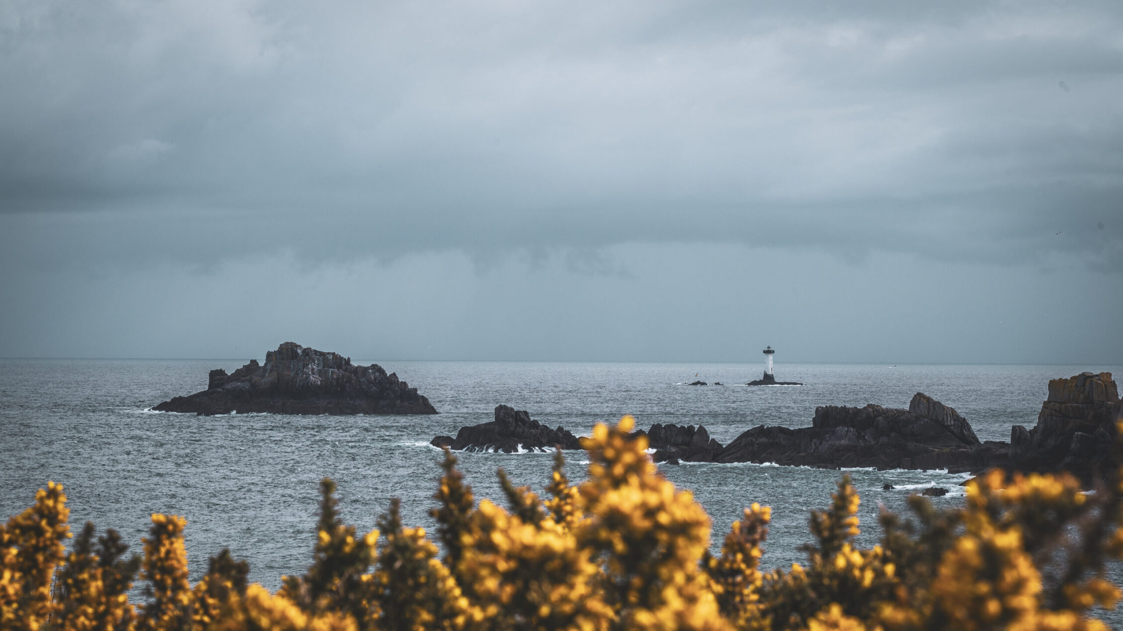 Mijn 5 tips & tricks voor fotografie