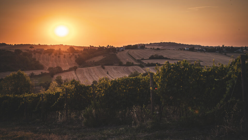 Roadtrip Italië Fotografie